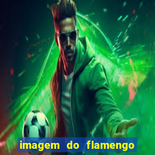 imagem do flamengo para perfil